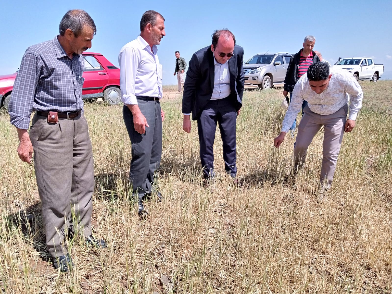 Kaymakam Çil'den arazide inceleme