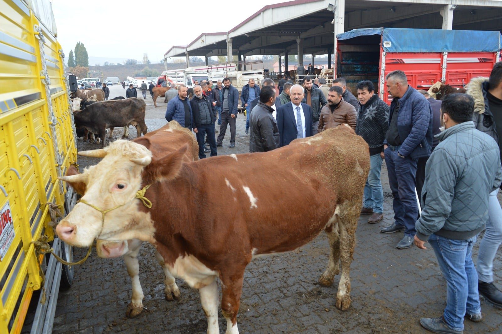 Kırıkkale’de kurbanlık pazarı açıldı