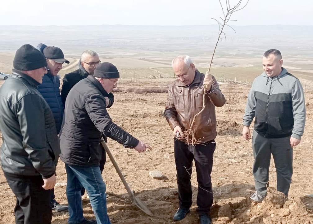 ÇELEBİ'DE BADEM BAHÇESİ KURULDU