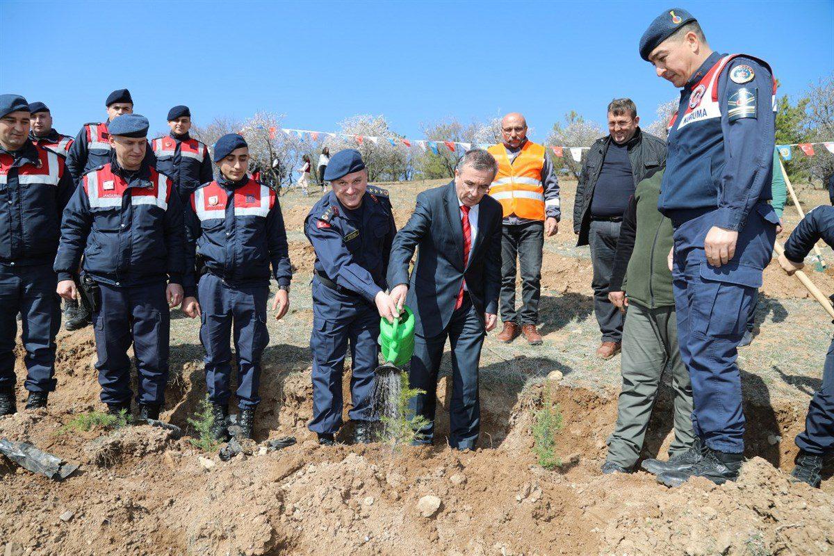 KIRIKKALE'DE DEPREM ŞEHİTLERİ ORMANI