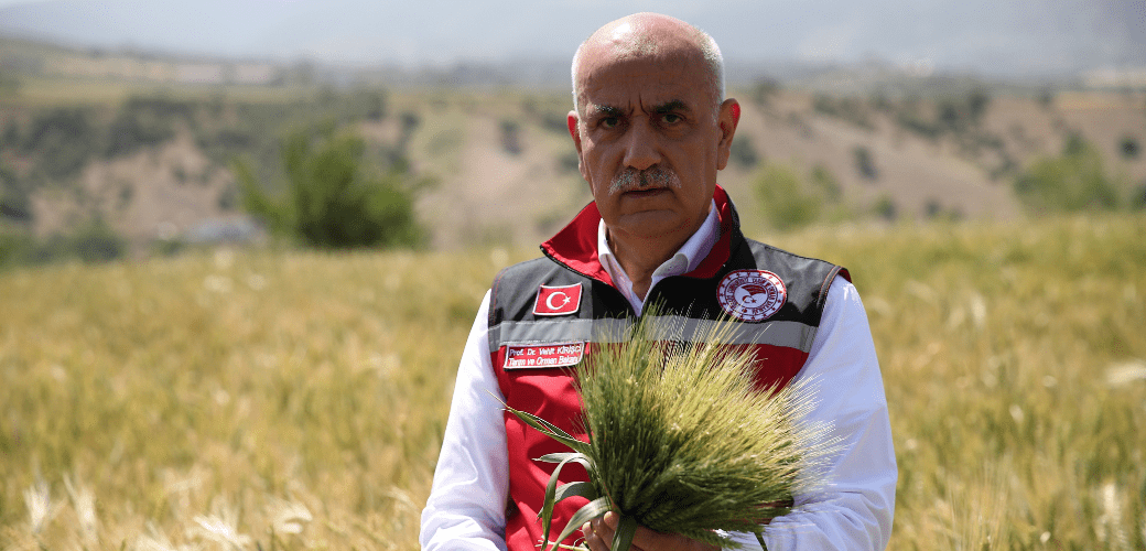 21 milyon ton buğday rekoltesi bekleniyor