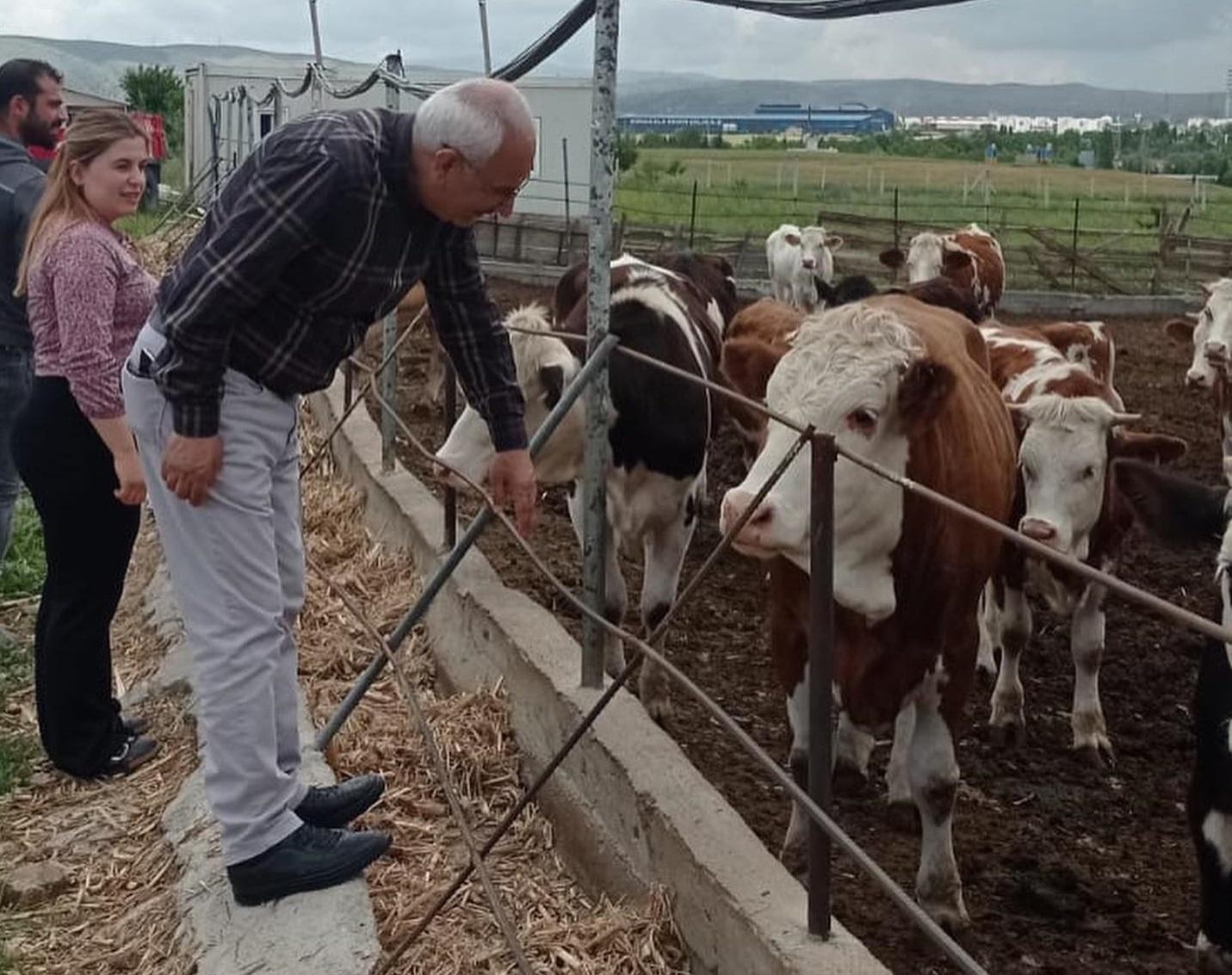 Tarımdan Hafta Sonu Mesaisi