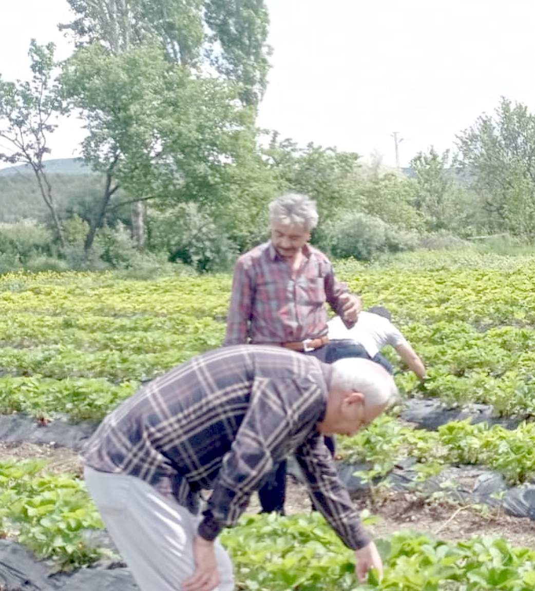 Tarım-Üfe Yıllık Aylık Yüzde 2,14 Arttı