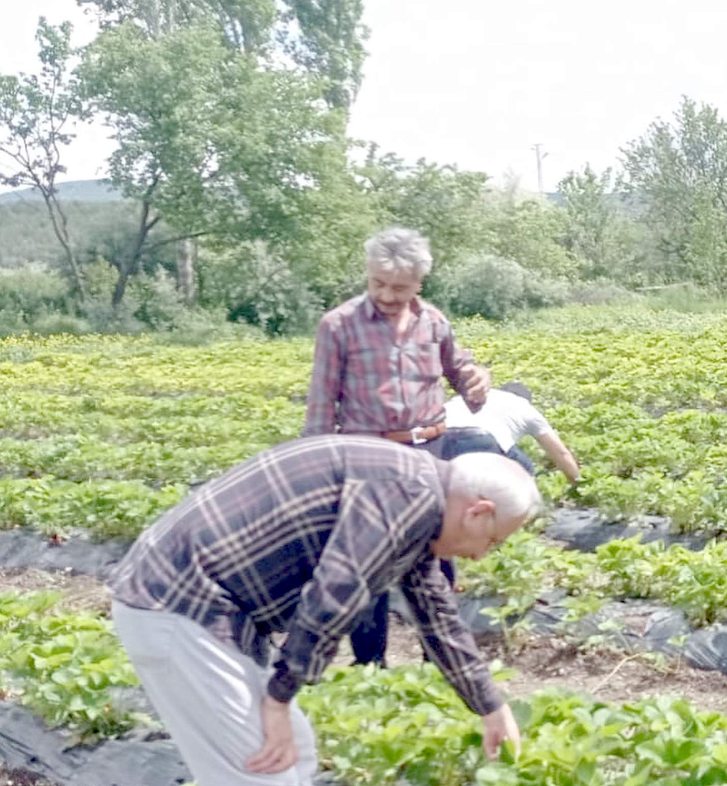 Tarım-GFE Yıllık Yüzde 40,20 Arttı