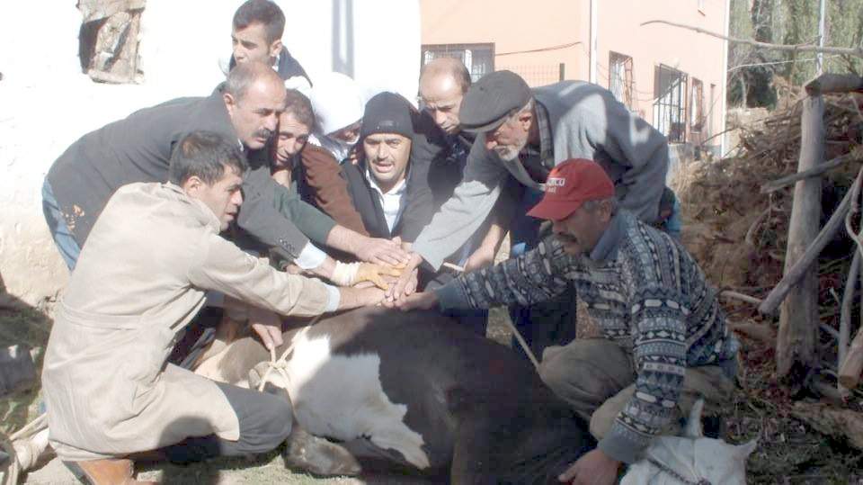 Kurban Kesim Ücretleri Belirlendi