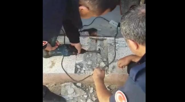 Yavru kedi lavabo gider borusuna sıkıştı