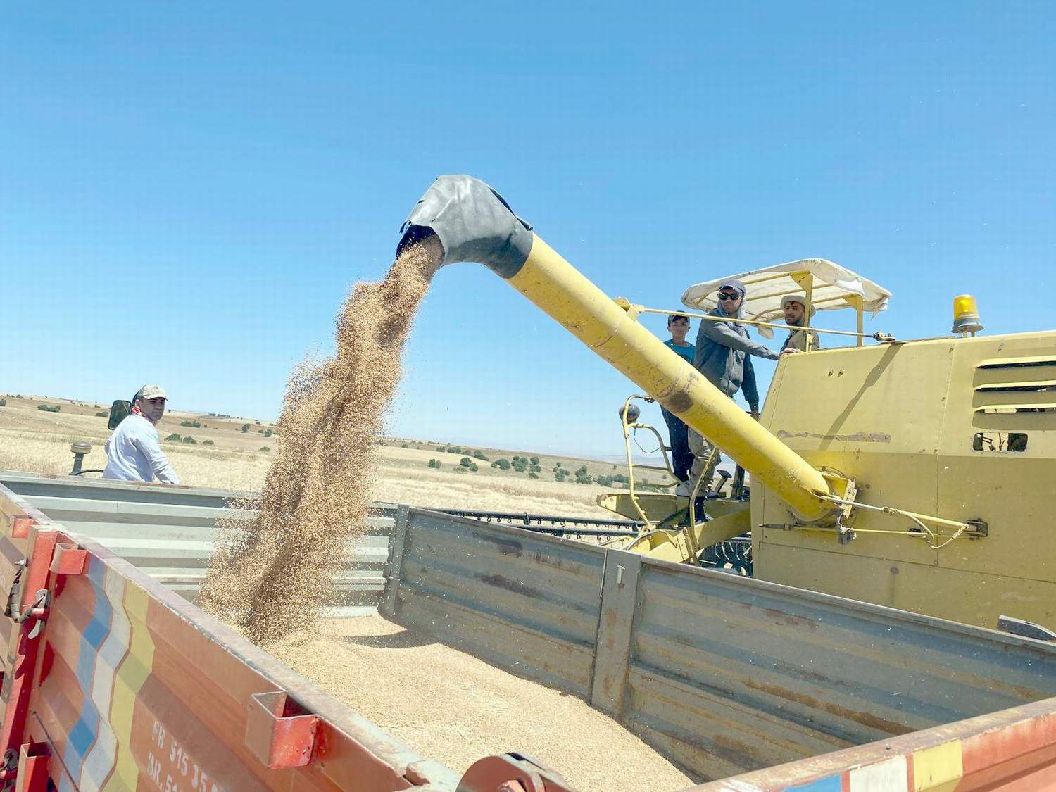 Başkan Sümer hububat hasat sezonunu değerlendirdi