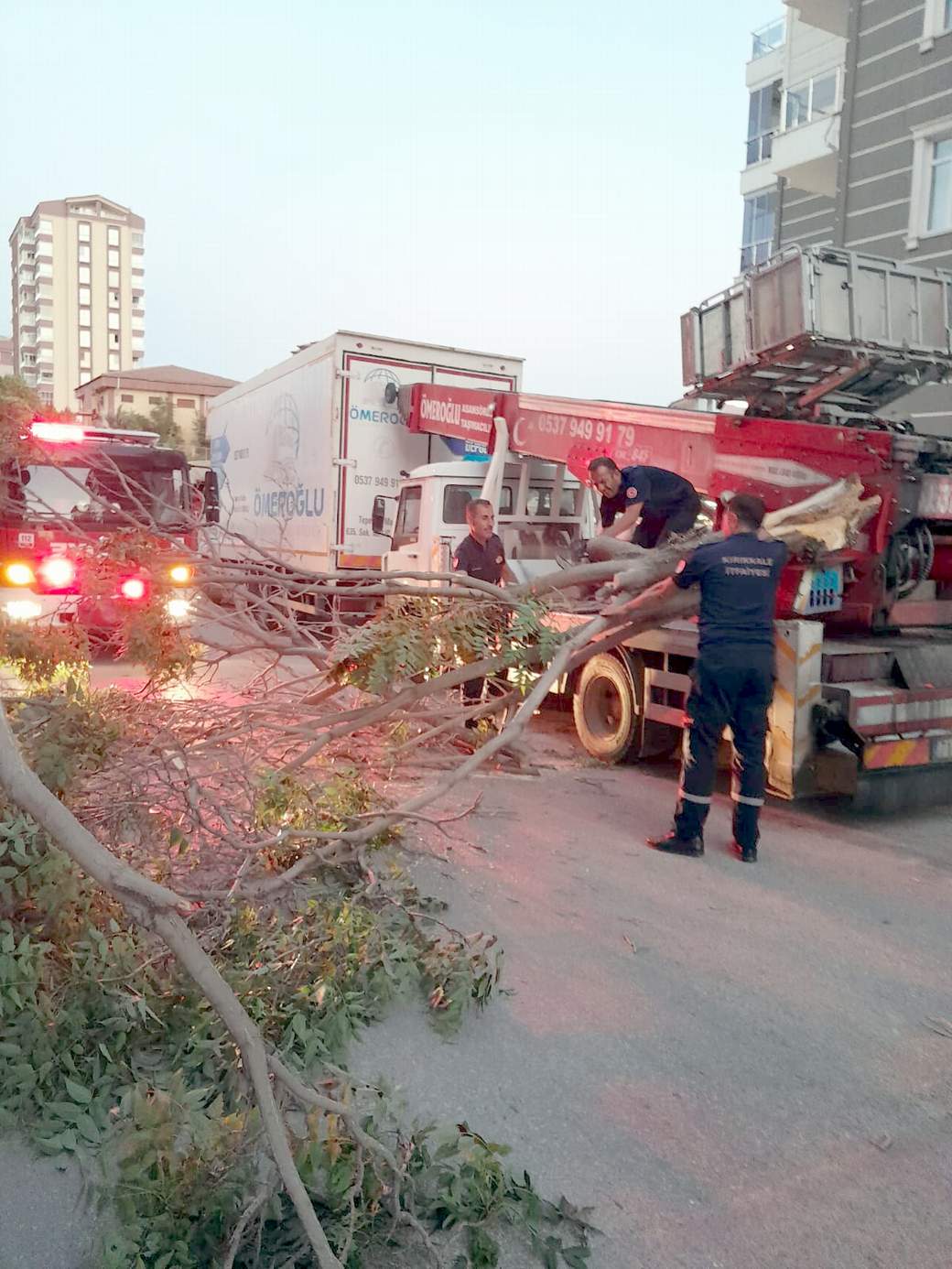 Otomobilin Üzerine Ağaç Devrildi