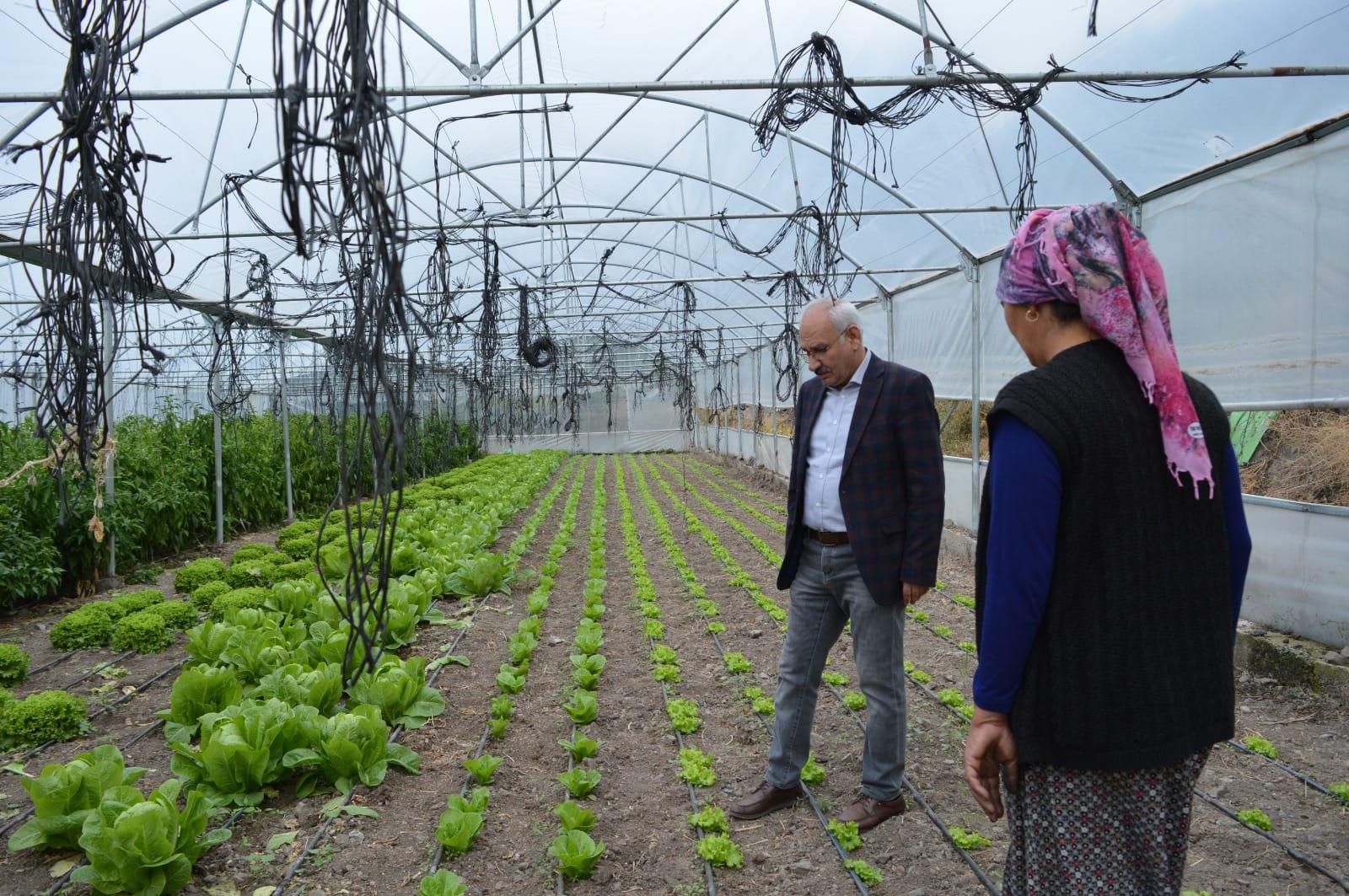 Tarım-ÜFE yıllık %62,48 arttı