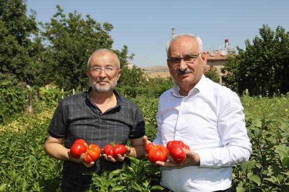 Projeler Çiftçilerin Yüzünü Güldürdü