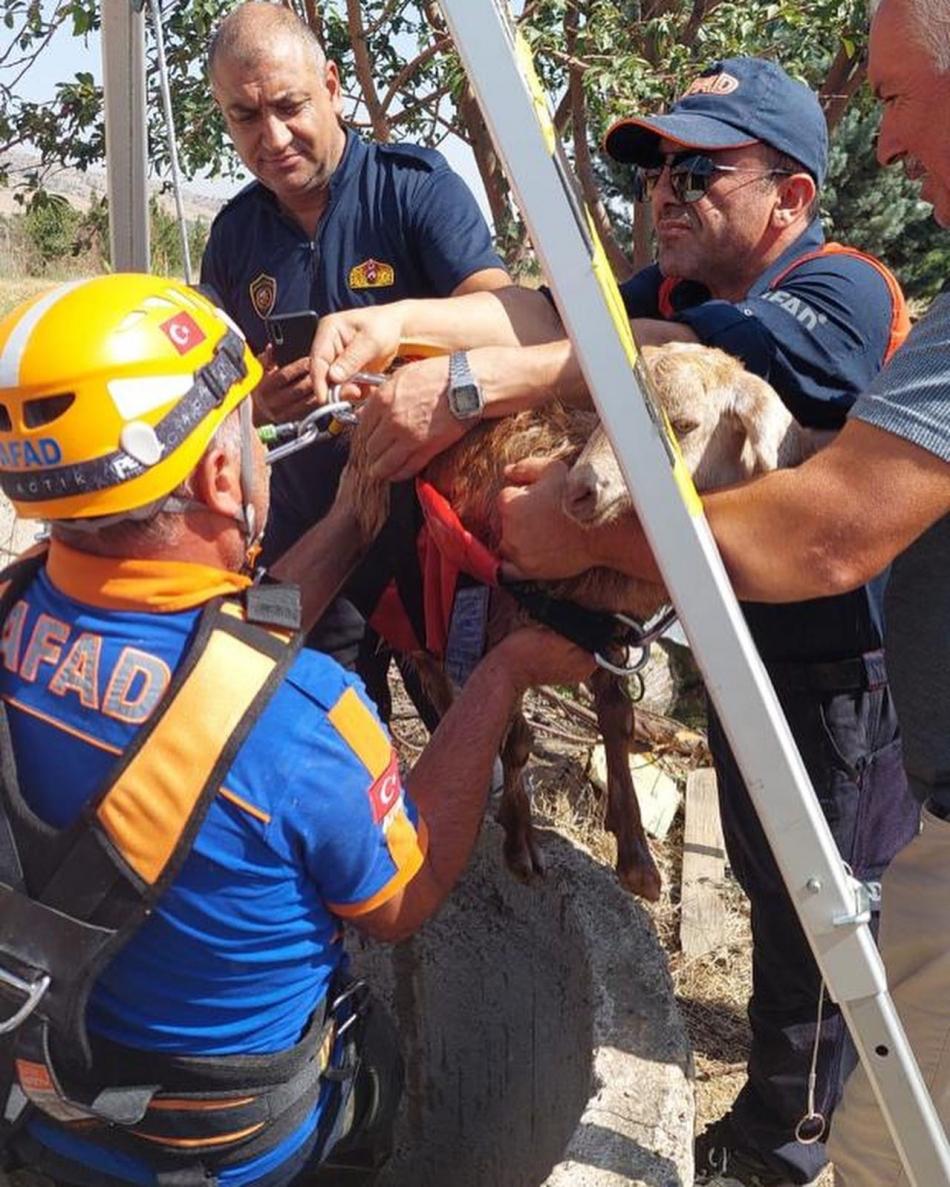 Su Kuyusuna Düşen Keçiyi AFAD ve İtfaiye Ekipleri Kurtardı