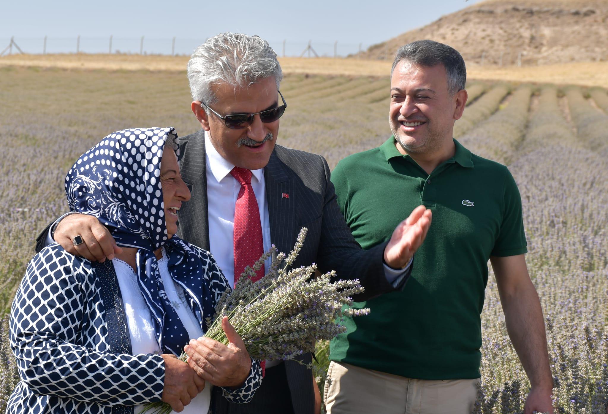 Kırıkkale’de lavanta hasadı yapıldı