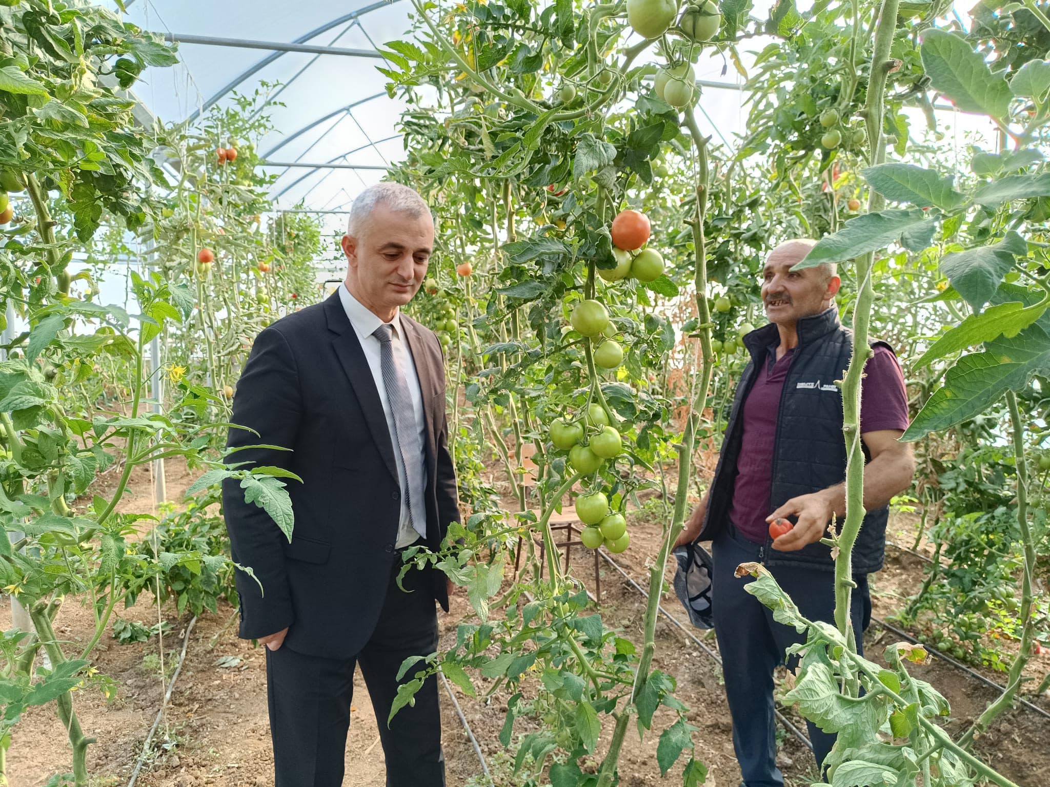 KOP ile Kırıkkale'de Yaz Seraları Kuruluyor