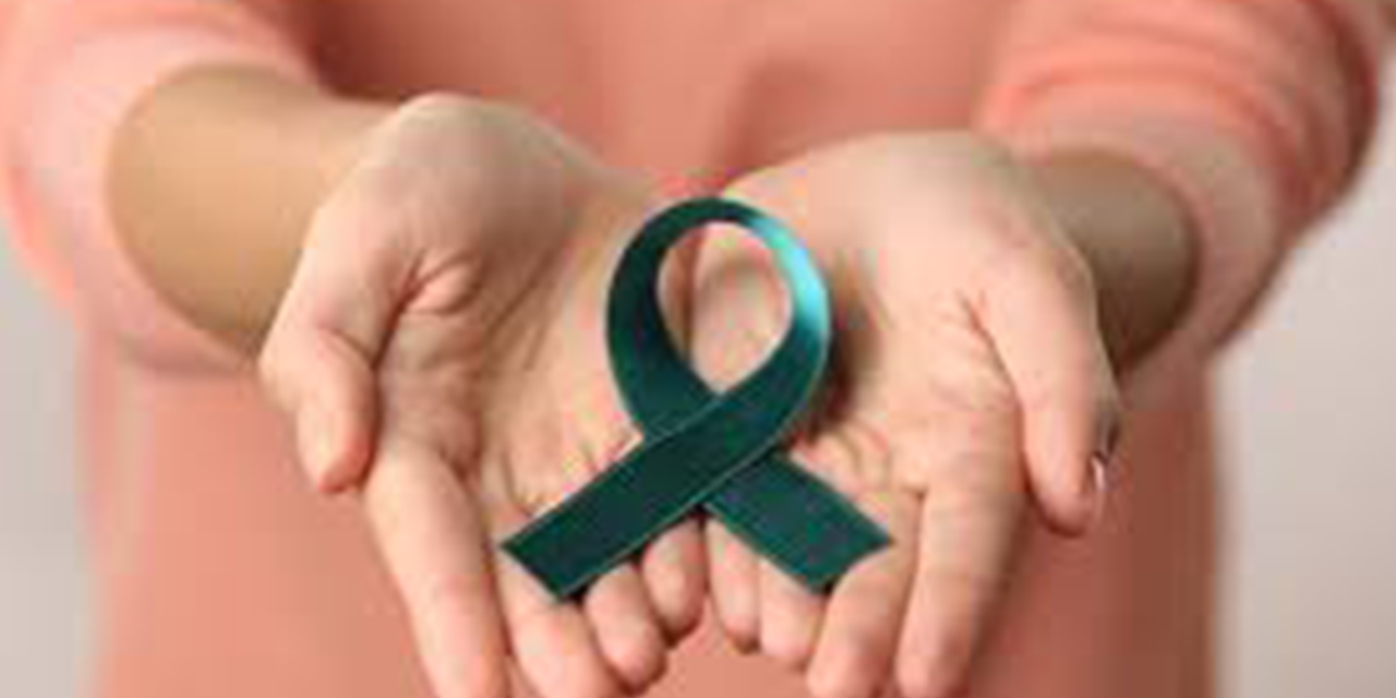 Kırıkkale'de Serviks Kanseri Farkındalık Ayı Etkinlikleri Başladı