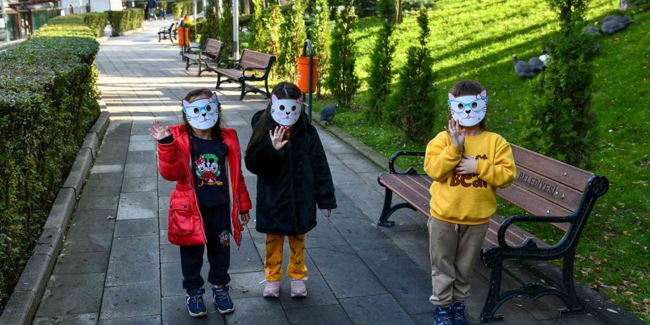 Ankara Büyükşehir Belediyesinin evcil hayvanlar parklarının yeni üyeleri: albino kanguru ve lama