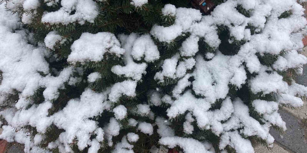 Çankırı’nın kuzeyinde kar yağışı etkili olmaya başladı