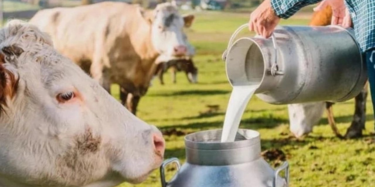 Kasım ayında süt üretiminde artış!