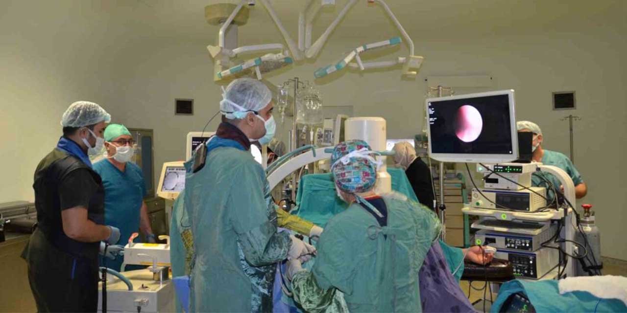 Canlı yayında kapalı tümörlü böbrek ameliyatı ve böbrek taşı operasyonu yaptılar