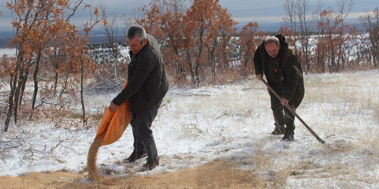 kirikkalede-yaban-hayvanlari-unutulmadi2.jpg